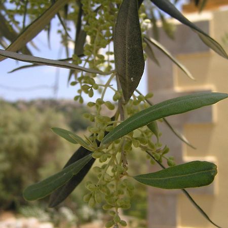 Stratos Villas Kaloniktis 外观 照片