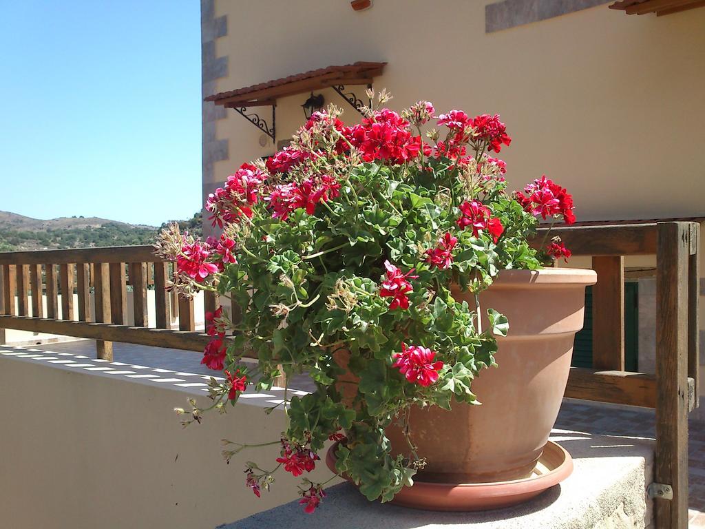 Stratos Villas Kaloniktis 外观 照片