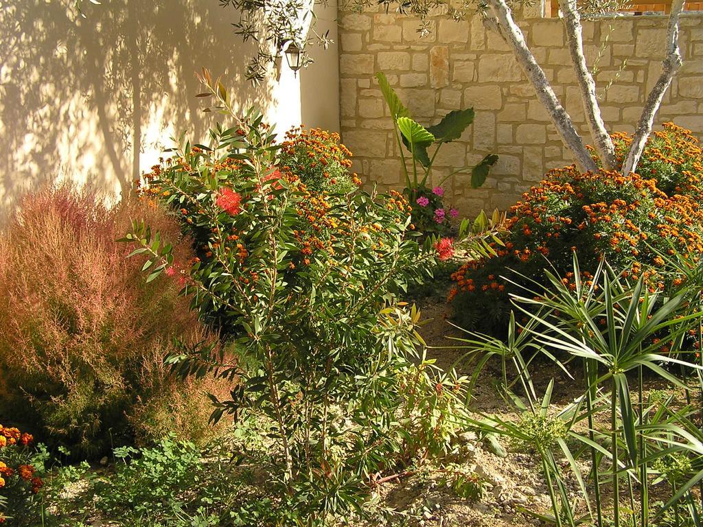 Stratos Villas Kaloniktis 外观 照片