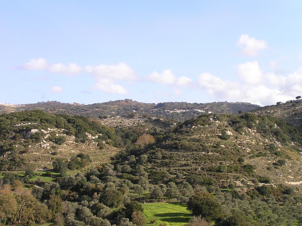 Stratos Villas Kaloniktis 外观 照片