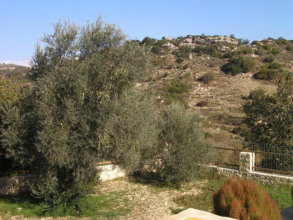 Stratos Villas Kaloniktis 外观 照片